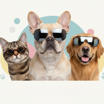 Pet Sunglasses
