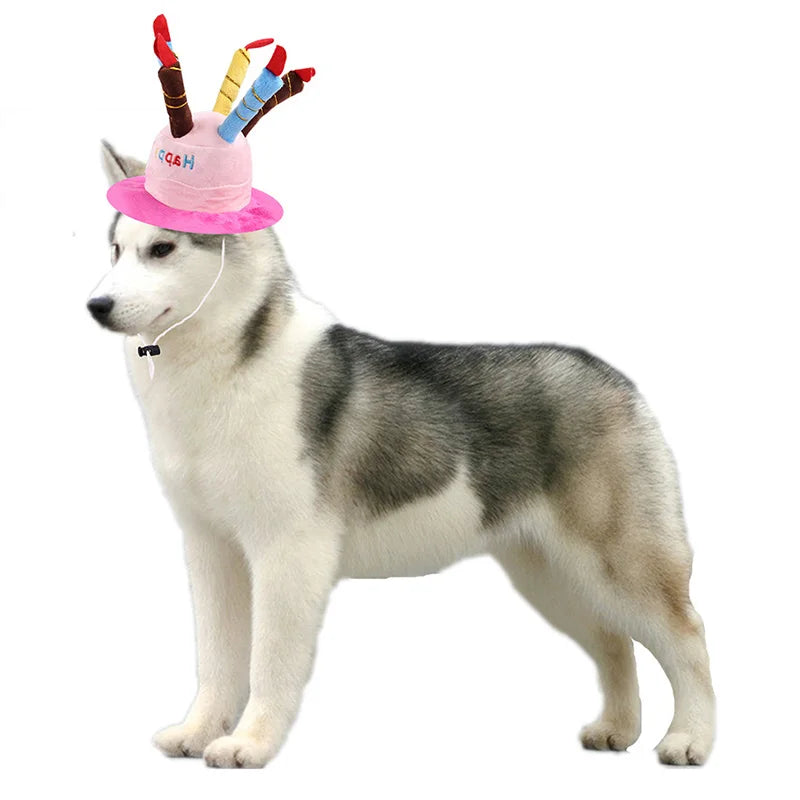 Party Pup Birthday Hat🎉