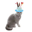 Cat wearing a birthday hat with candles on a white background