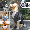 Bow Tie Dog Suit