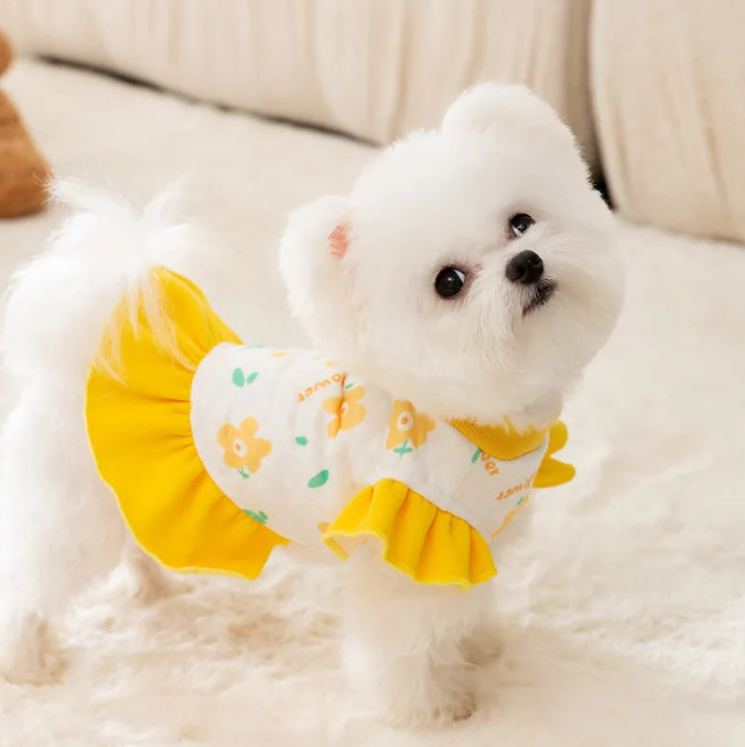 Sunshine Bloom Dress