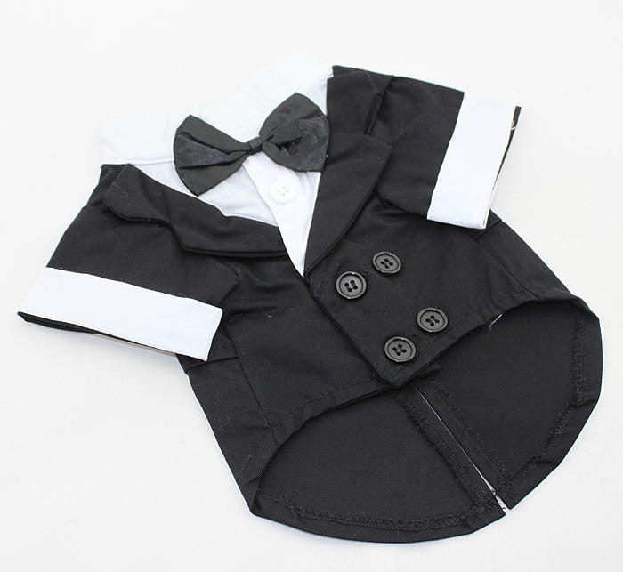 Bow Tie Dog Suit