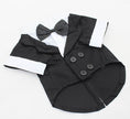 Bow Tie Dog Suit