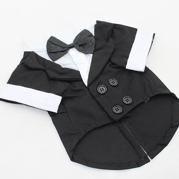 Bow Tie Dog Suit