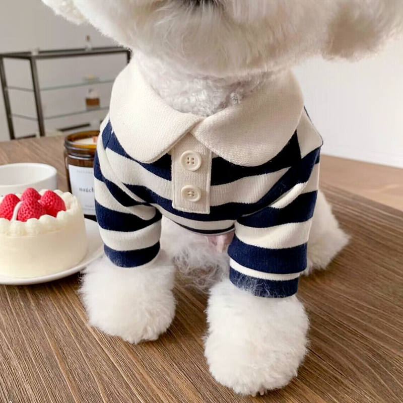 Summer Polo Dog