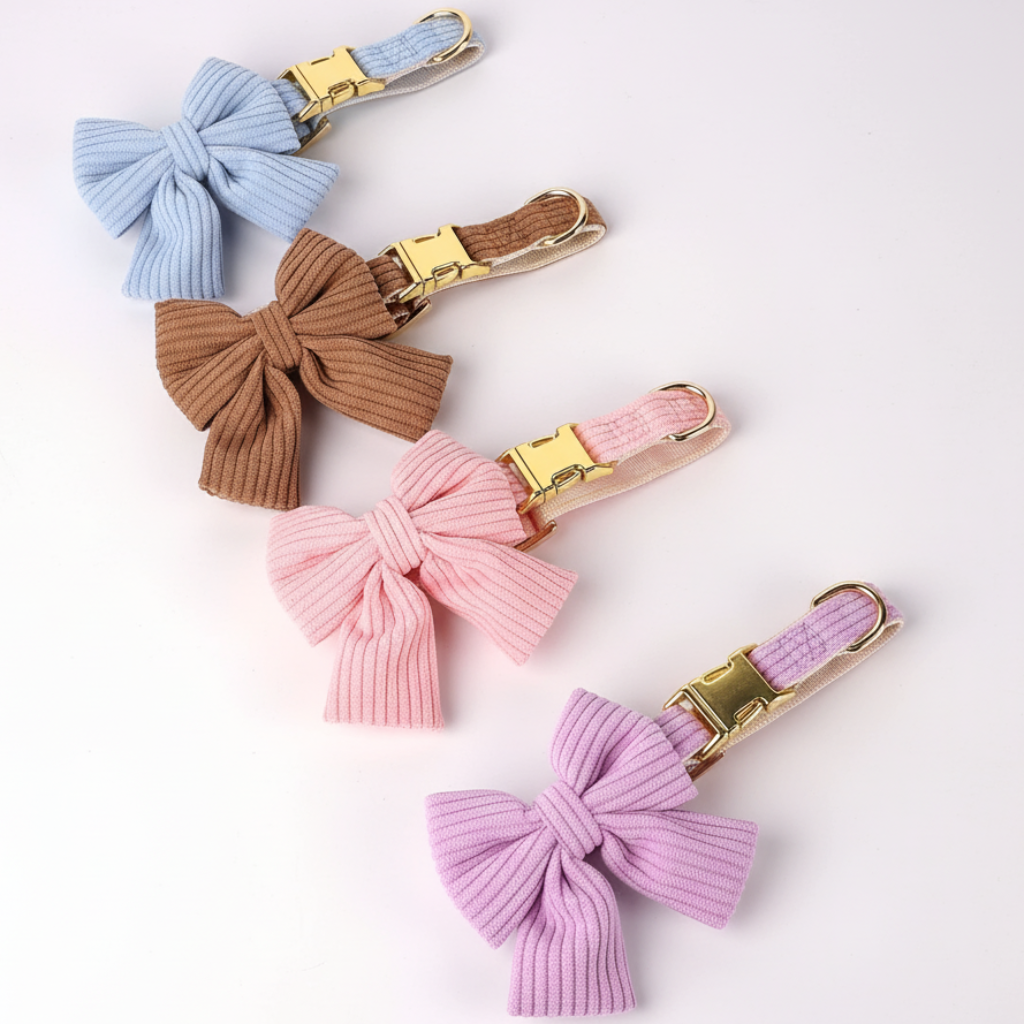 Set of colorful dog collars on a white background