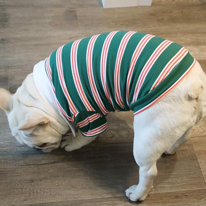 Summer Stripe Polo Dog
