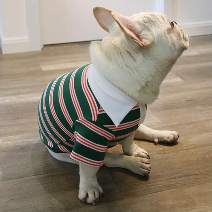 Summer Stripe Polo Dog