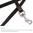 SmartWalk 16FT Automatic Dog Leash