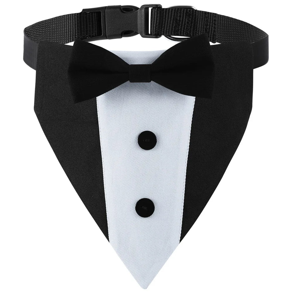 Formal Pup Tuxedo Collar 🐕🦺🎩