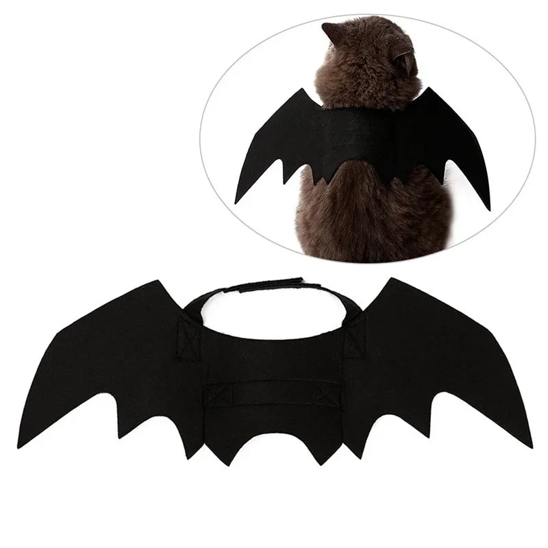 Black bat-winged pet costume on a white background