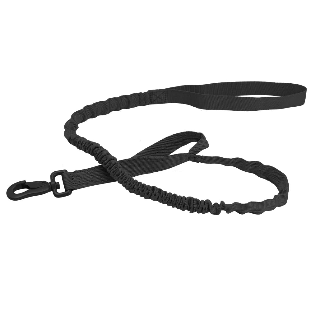 Black dog leash on a white background