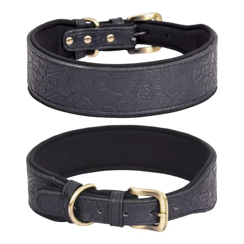 Two black leather dog collars with gold hardware on a white background