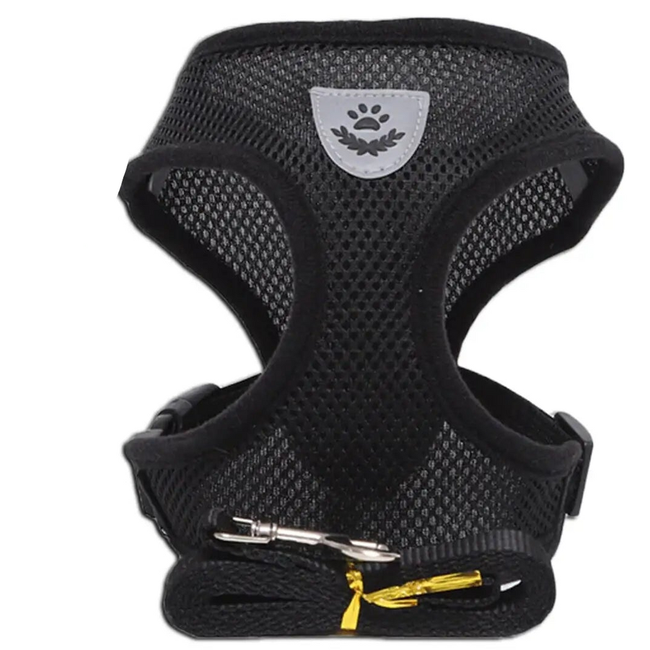 Black mesh harness and leash on a white background