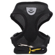 Black mesh harness and leash on a white background