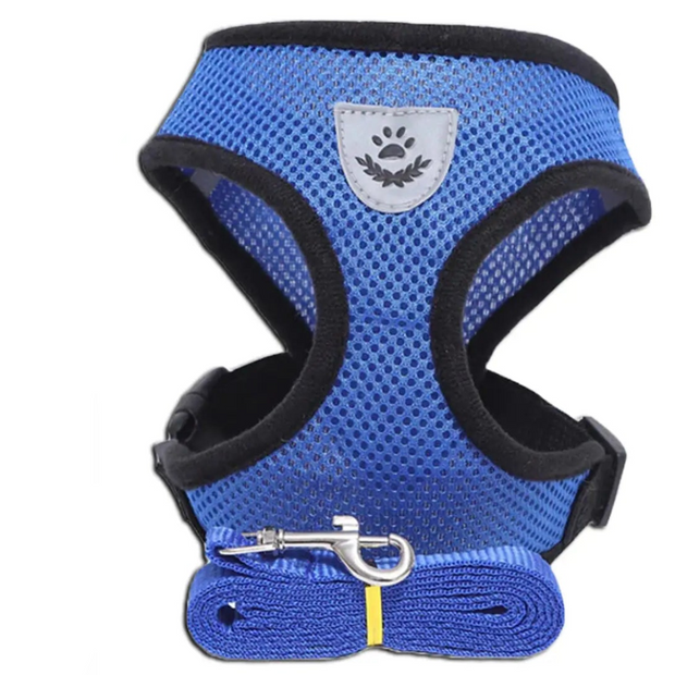 Blue pet harness and leash against a white background 