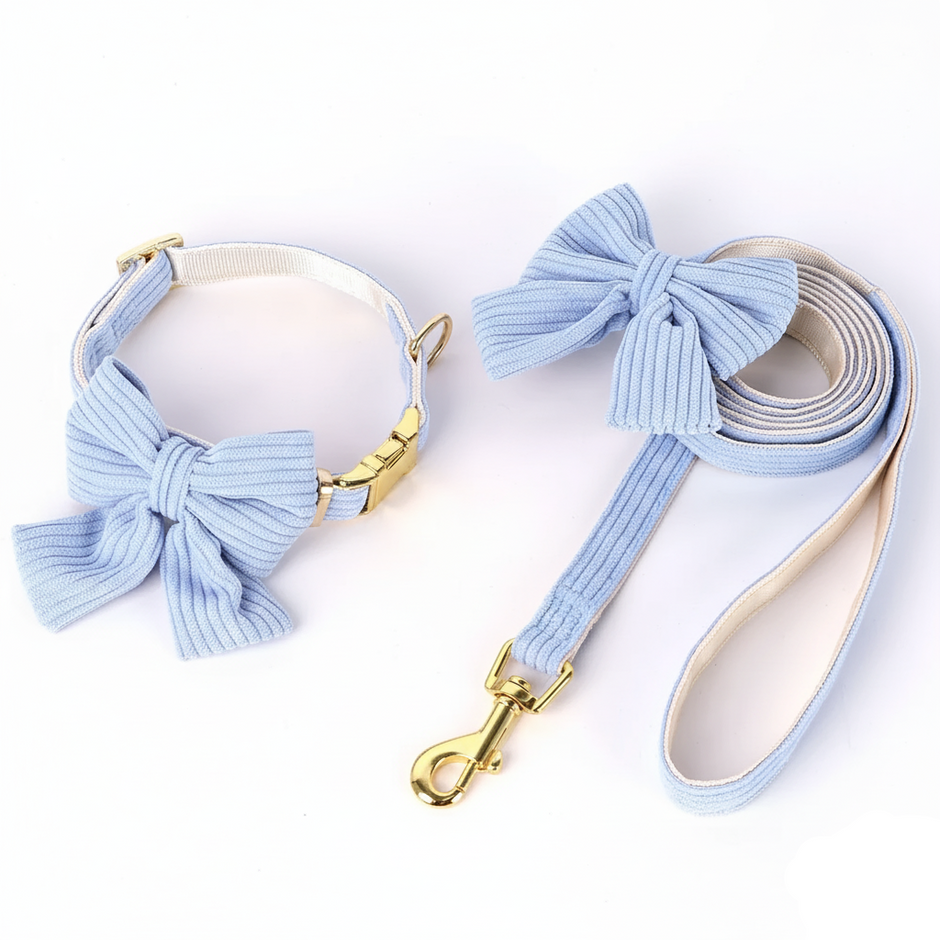 Dog collar and leash set with light blue bows on a white background