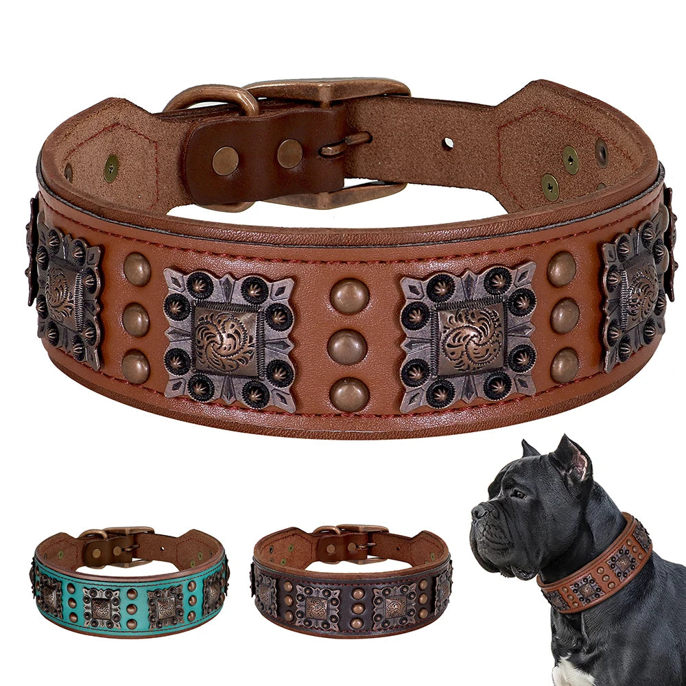 Brown leather dog collar with decorative studs and metal plates, shown on a white background.