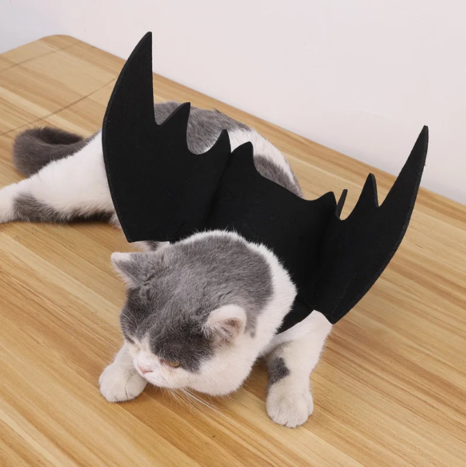 Cat wearing black bat wings on a wooden floor