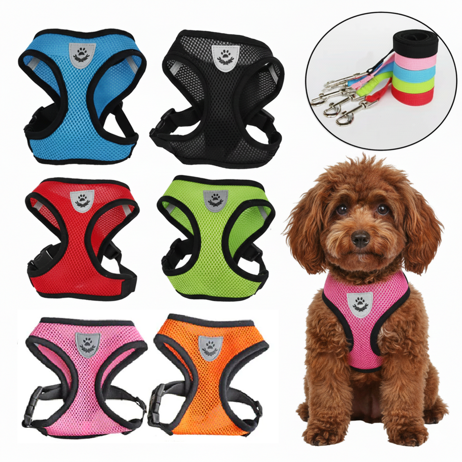 Collection of colorful dog harnesses with a small brown dog wearing a pink harness.