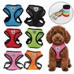 Collection of colorful dog harnesses with a small brown dog wearing a pink harness.