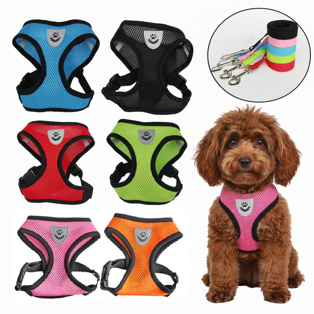 Collection of colorful dog harnesses with a small brown dog wearing a pink harness.