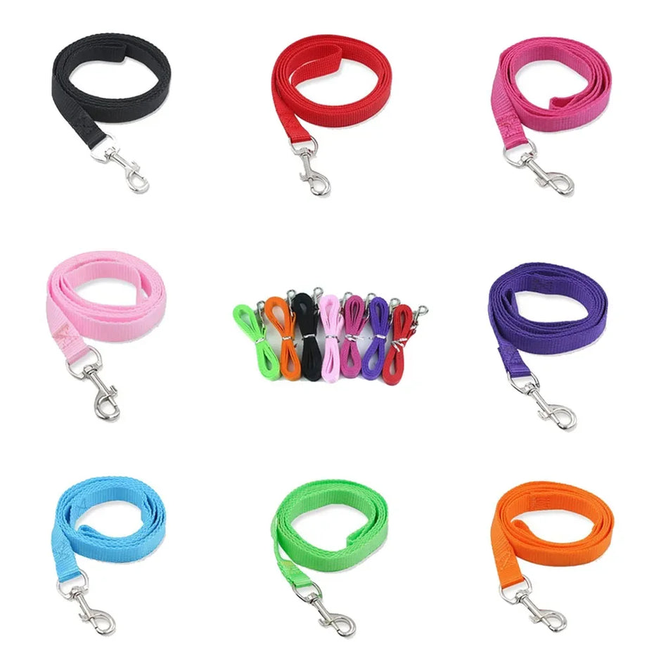 Collection of colorful dog leashes with matching connectors on a white background