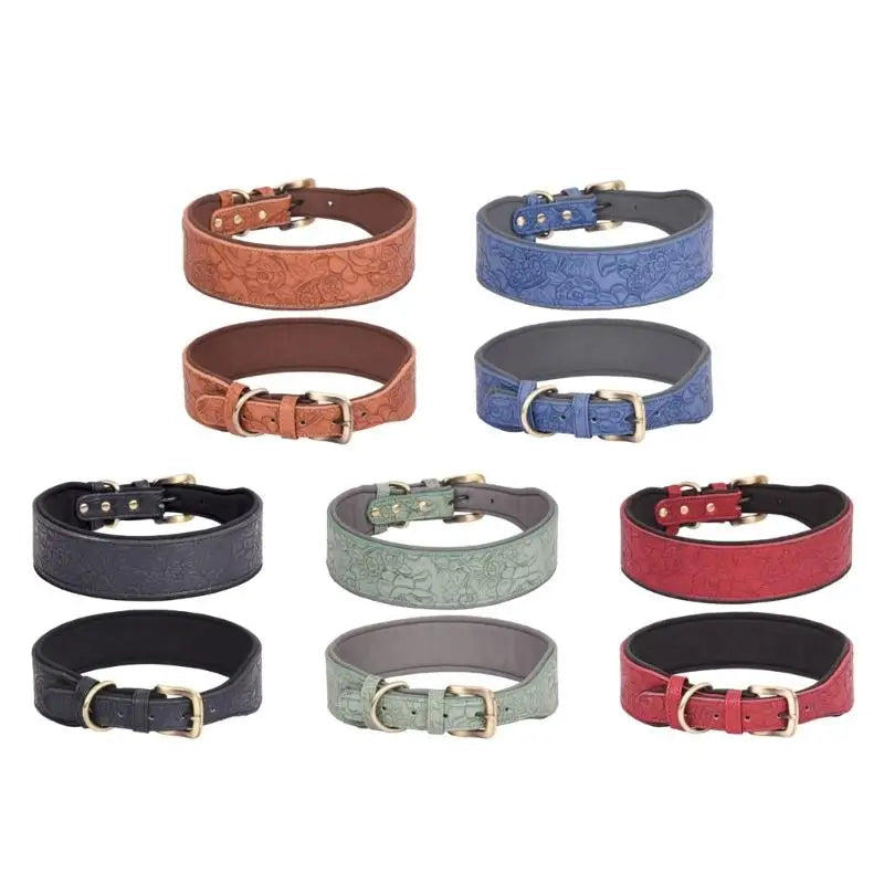Collection of dog collars in various colors on a white background