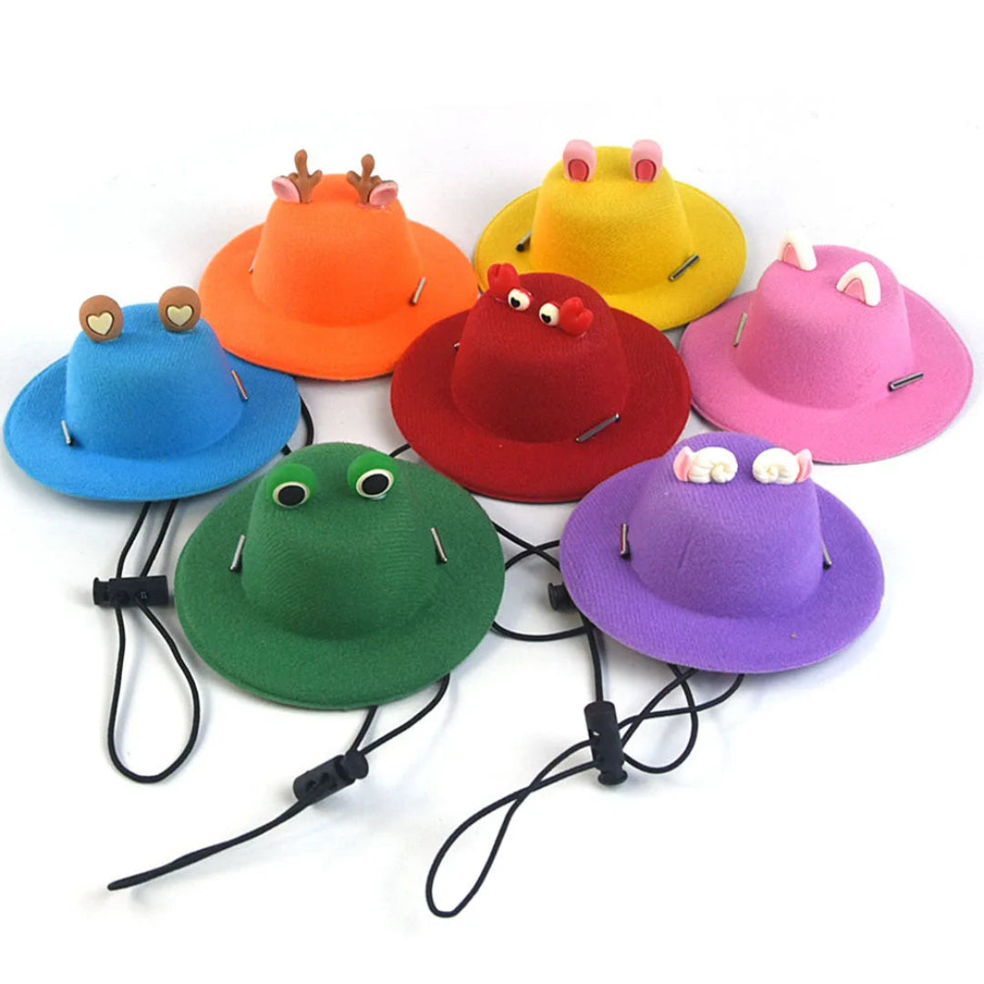 Colorful pet hats on a white background