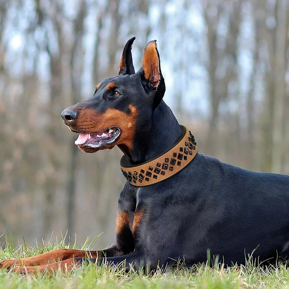 The Guardian Spiked Collar | for Large & XL Breed Dogs