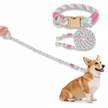 Dog collar and leash set with a dog wearing them on a white background