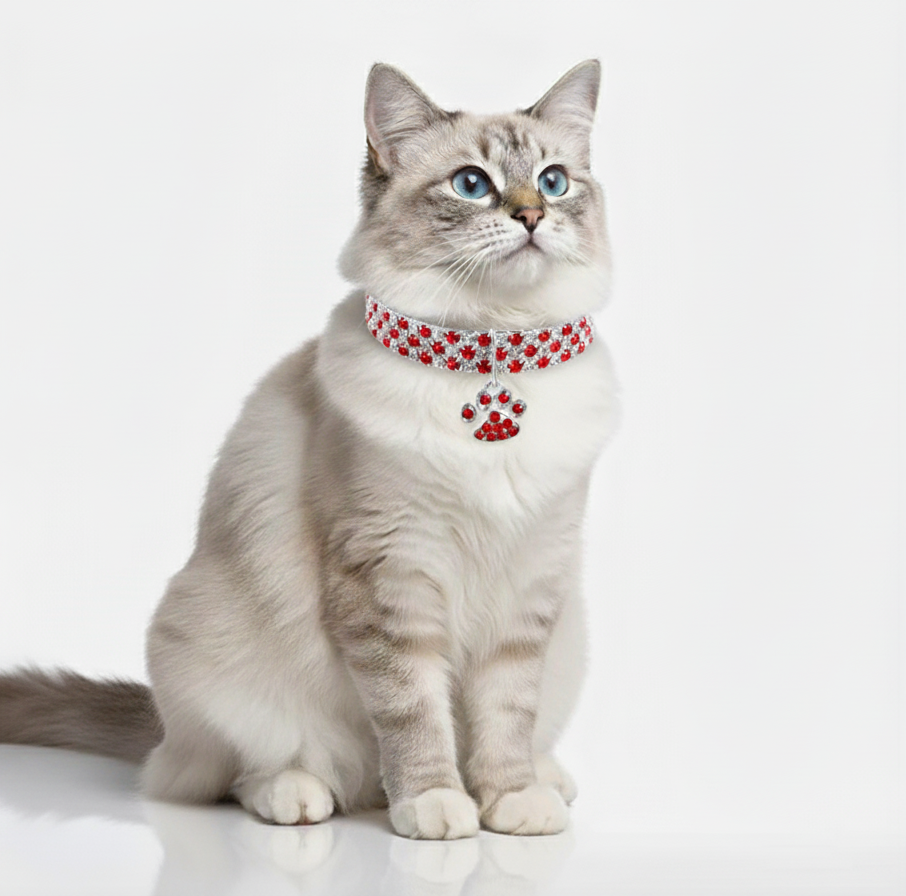 Cat wearing a red collar with paw designs on a white background
