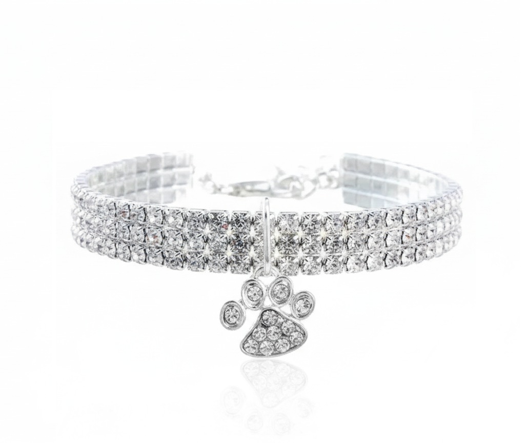 Silver collar with a paw-shaped charm on a white background