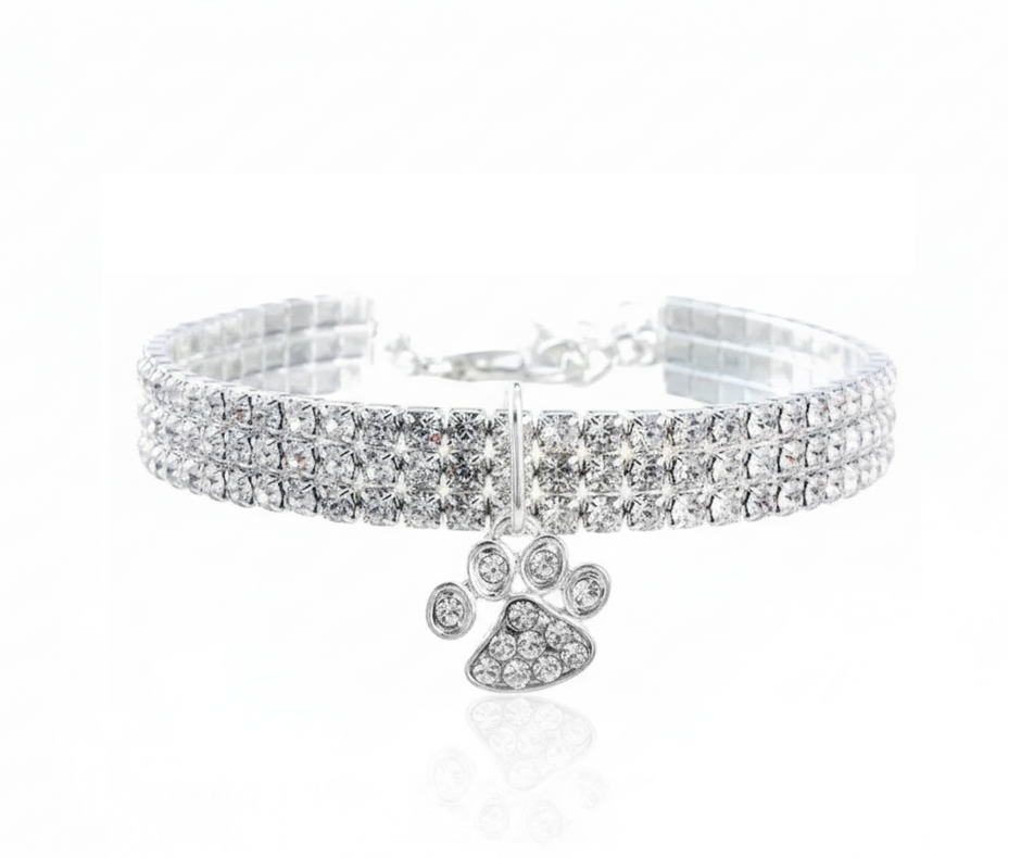 Silver collar with a paw-shaped charm on a white background