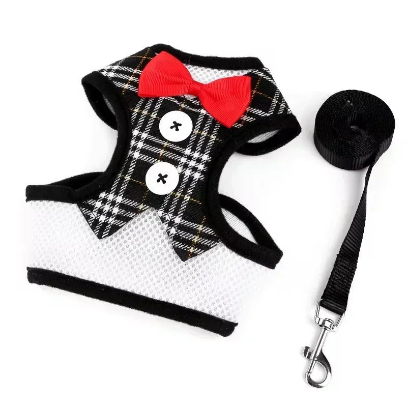 Dog harness with plaid pattern, red bow tie, and matching leash on a white background