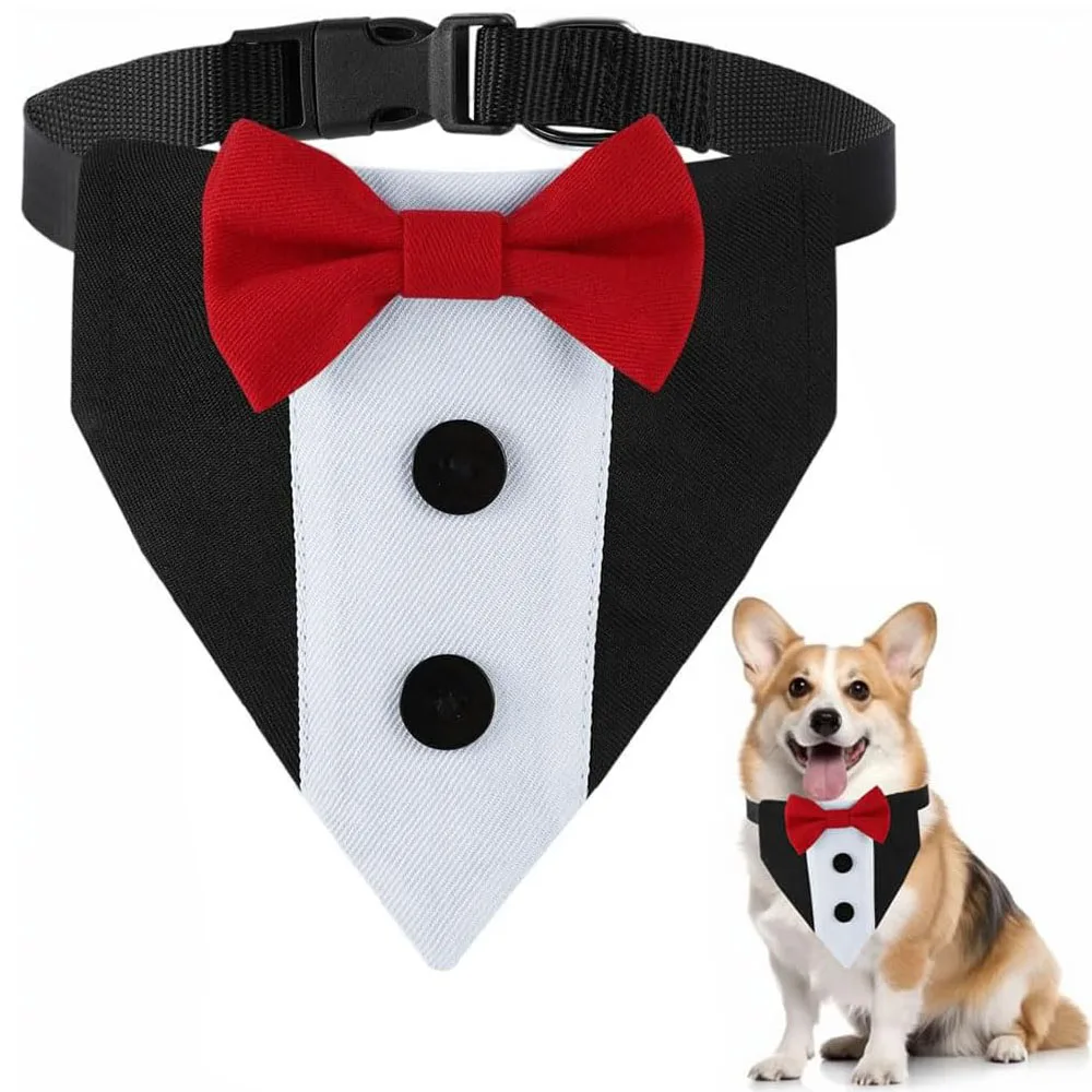 Formal Pup Tuxedo Collar 🐕🦺🎩