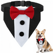 Formal Pup Tuxedo Collar 🐕🦺🎩
