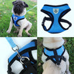Dog wearing a blue harness with close-up shots of the harness on a white background.