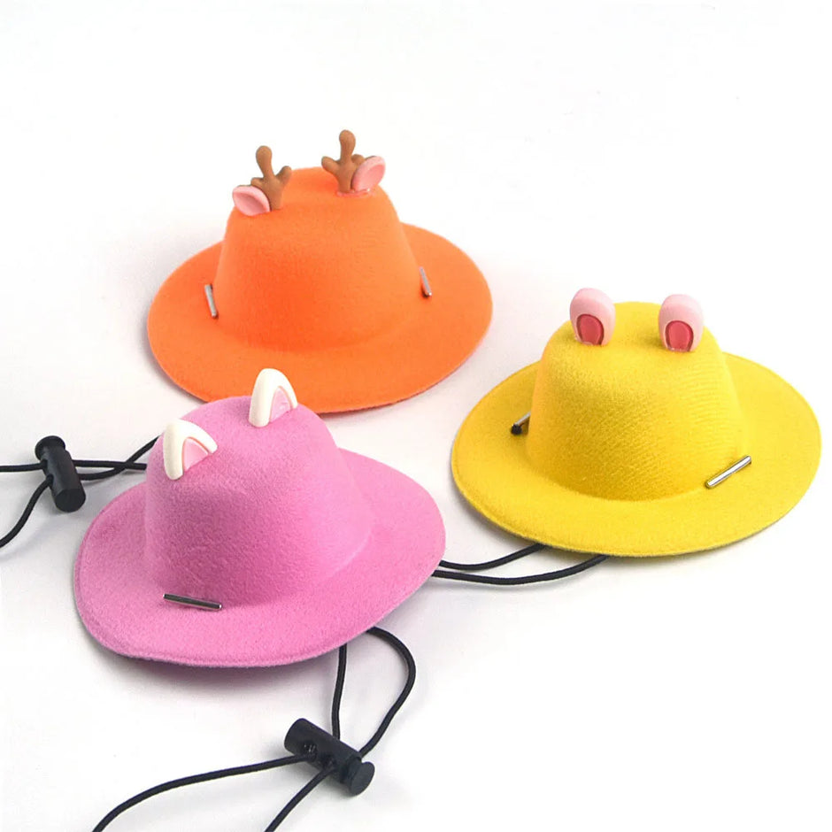 Four colorful hats with animal ears on a white background