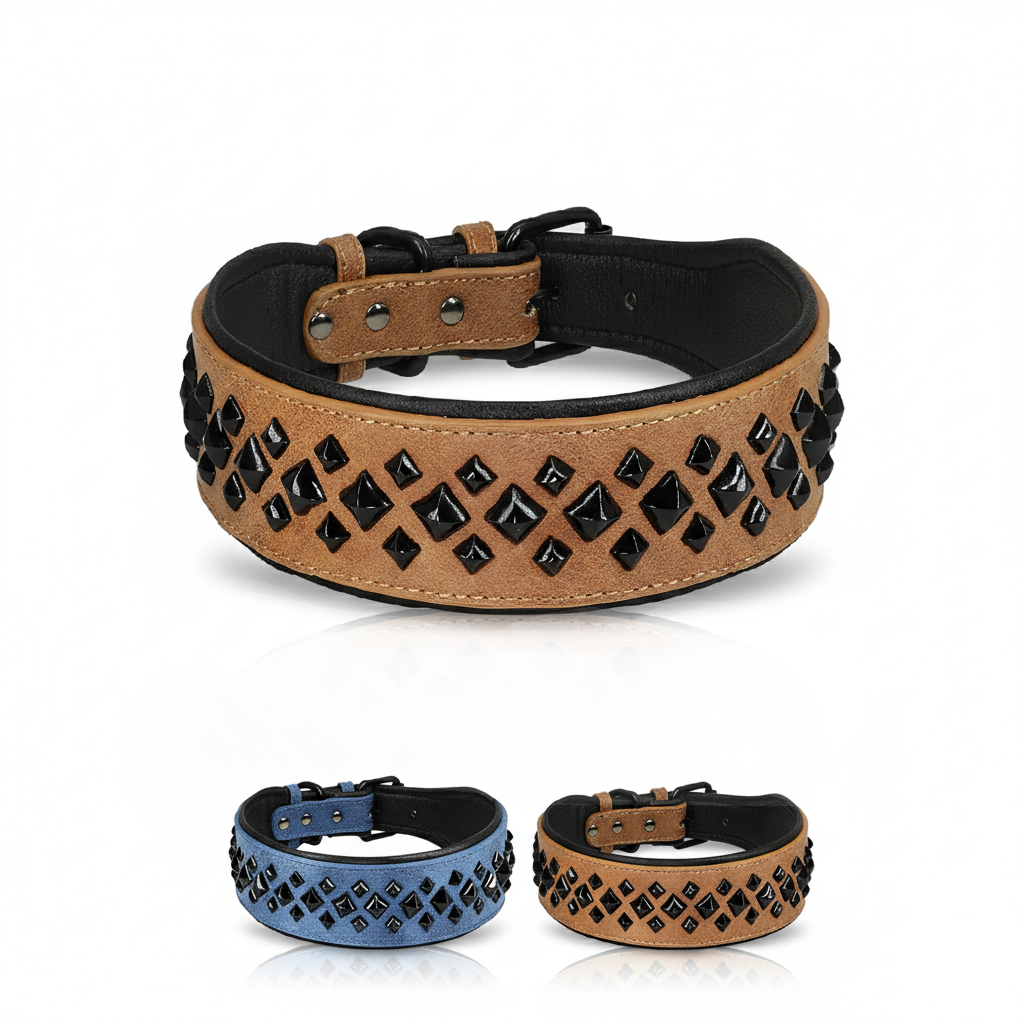 The Guardian Spiked Collar | for Large & XL Breed Dogs