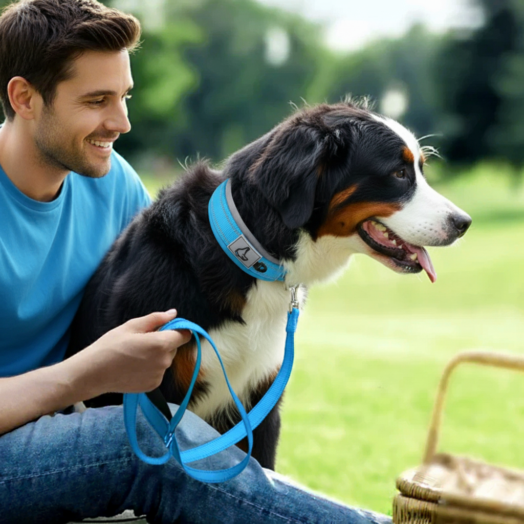 The Guardian Comfort Collar