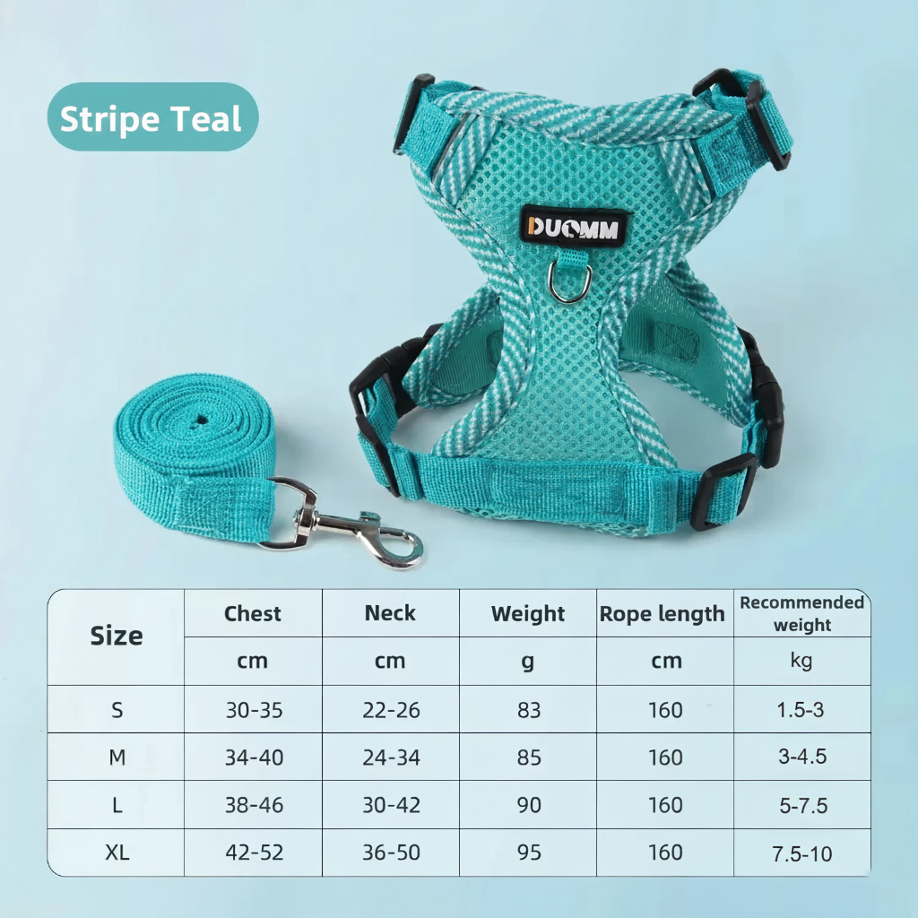BreezeGuard Mesh Harness & Leash Set
