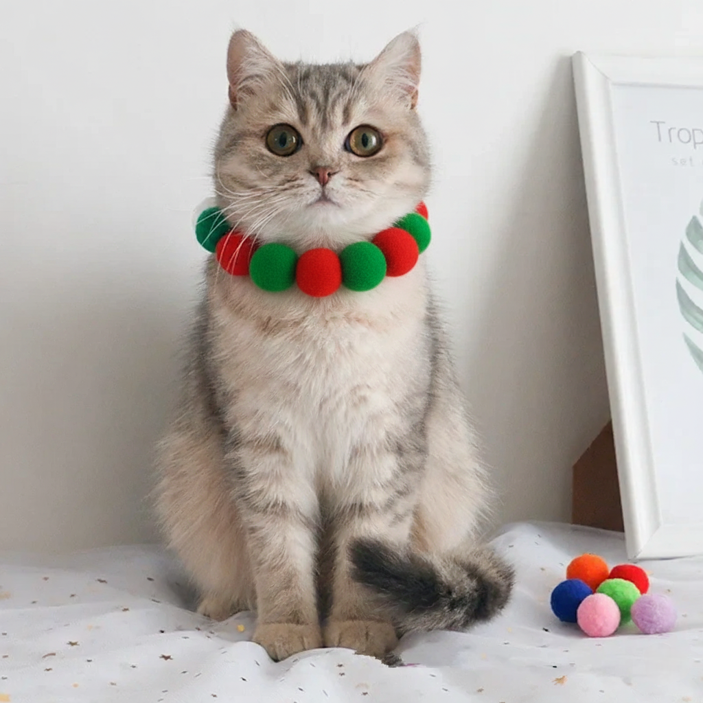 Pom Pom Bloom Collar 🌈🐾