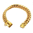 Gold chain collar on a white background