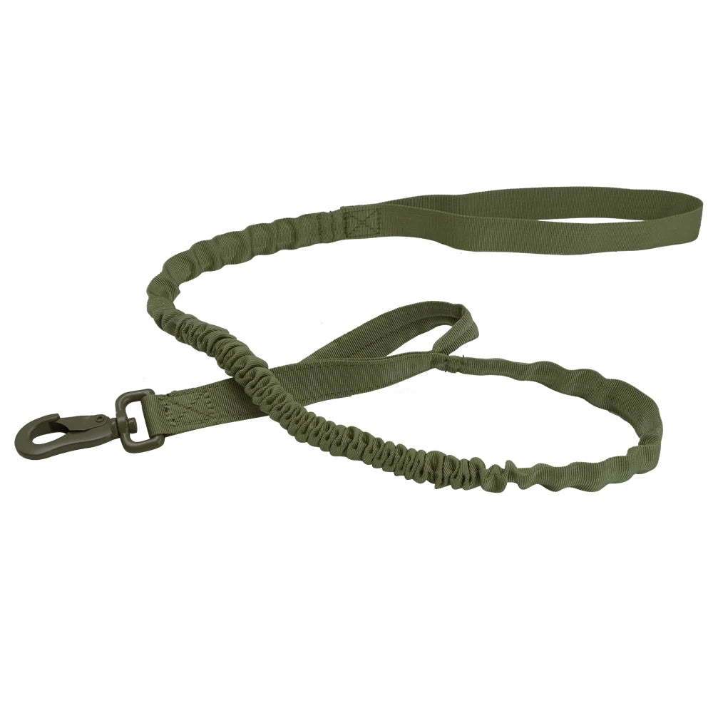 Green bungee dog leash on a white background