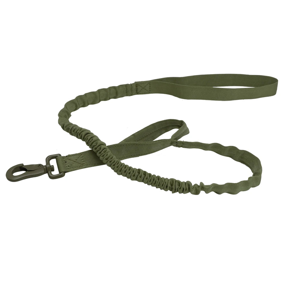 Green bungee dog leash on a white background