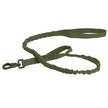 Green bungee dog leash on a white background