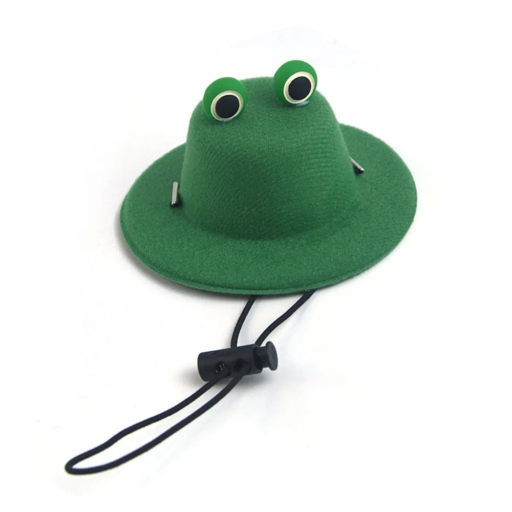 Green frog pet hat with googly eyes on a white background