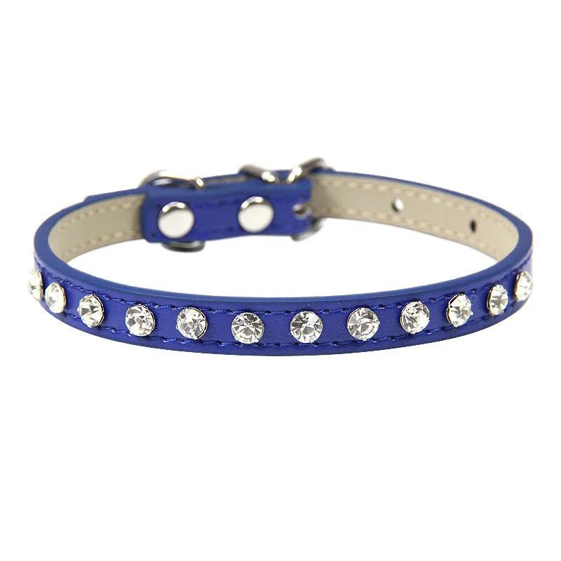 Blue dog collar with rhinestones on a white background