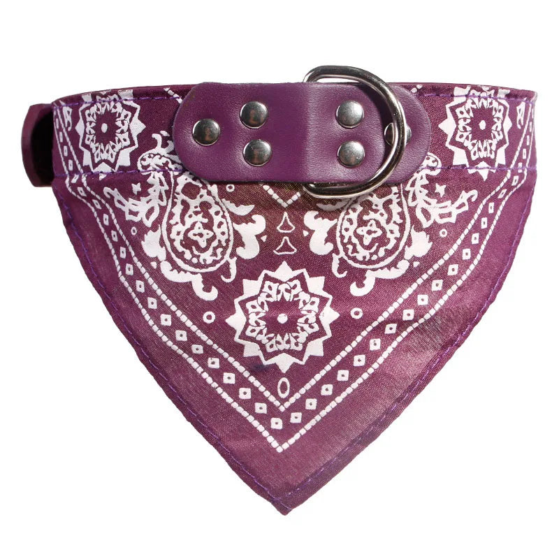 ScarfTail Collar | Bandana & Collar Combo for Stylish Pups